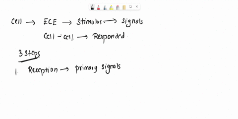 name-the-steps-that-are-often-involved-in-cell-communication-02841