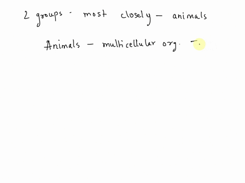which-two-groups-below-are-most-closely-related-to-the-animals-plants-archaea-amoebozoa-choanoflagellates-bacteria-fungi-excavata-09295