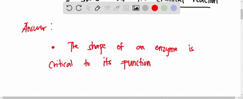 question-6-3-pts-which-of-the-following-are-true-regarding-enzymes-choose-all-that-apply-enzymes-are-changed-by-the-reaction-and-therefore-cannot-be-reused-the-shape-of-an-enzyme-is-critical-42087