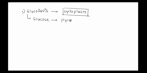 glycolysis-occurs-within-the-m-mitochondra-nucleus-d-cytoplasm-vacuoles-99303