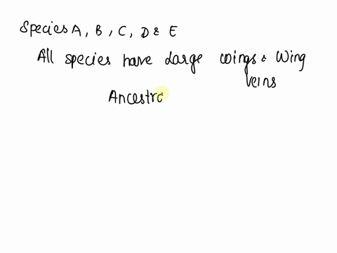 fert-ii-illustrated-on-the-last-page-is-group-of-hypothetical-fly-specics-form-an-hypothesis-that-states-the-cvolutionary-relationships-among-the-flics-predicted-cladogram-below-sketch-your-01793