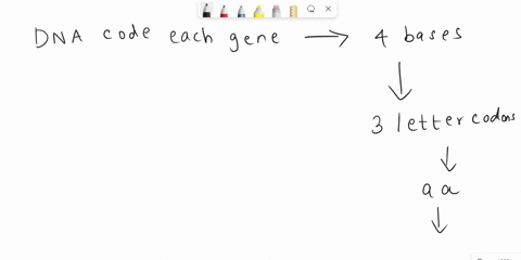 which-statements-describe-the-genetic-code-check-all-that-apply-a-it-is-a-proteinb-it-is-a-nucleic-acid-cit-is-found-in-dna-d-it-is-found-in-the-cell-membrane-eit-is-used-to-build-an-organis-15068