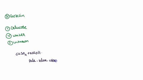 data-shee-experiment-data-sheet-table-1-testing-for-proteins-results-sample-initial-color-final-color-protein-present-1-albumin-solution-2-gelatin-solution-3-glucose-4-water-5-unknown-91032