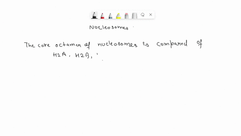 the-core-octamer-of-nucleosomes-is-composed-of-which-histones-h1h2h3and-h4-h1hza-h2band-h4-hza-h2b-h3a-and-h3b-hza-h2b-h3and-h4-36596
