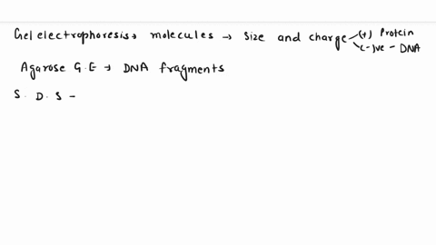 which-way-does-the-dna-migrate-on-a-agarose-gel-electrophoresis-and-why-84106