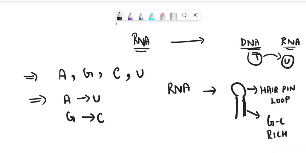 Solved Consider The Diagram Of A Nucleotide Below Where Can You Find This Nucleotide Identify 2593