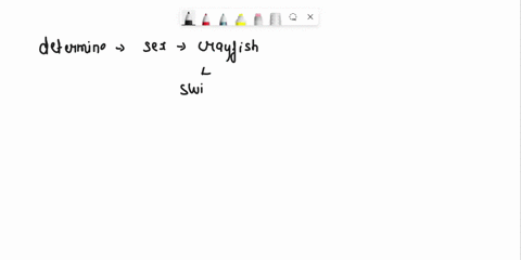 this-be-sure-to-look-at-one-of-the-is-your-crayfish-male-or-female-how-did-you-determine-opposite-sex-describe-3-ways-that-crayfish-can-move-which-body-parts-are-used-for-each-method-crayfis-95881