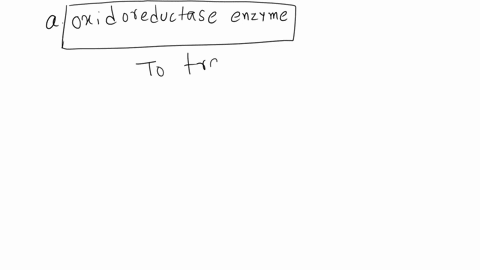 which-type-of-enzyme-catalyzes-the-following-reactions-coo-nadh-c0-chg-coo-ho-c-h-cha-coo-hc-chgk-atp-nh-nhs-coo-h-ch22-adp-nhs-choose-hydrolase-isomerase-iyase-transferase-oxidoreductase-li-37859