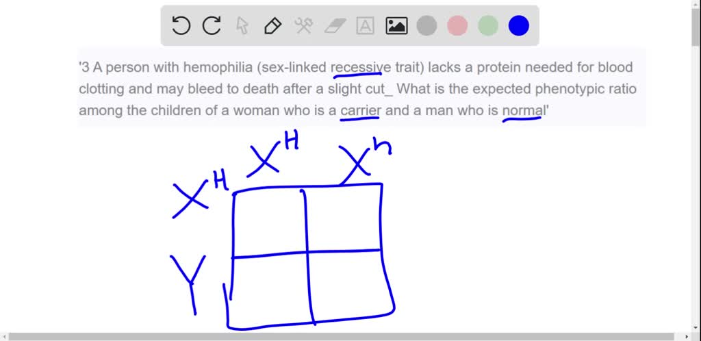 Solved 3 A Person With Hemophilia Sex Linked Recessive Trait Lacks