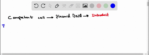 competent-cells-are-cells-to-which-plasmid-dna-can-be-introduced-true-e-false-45297