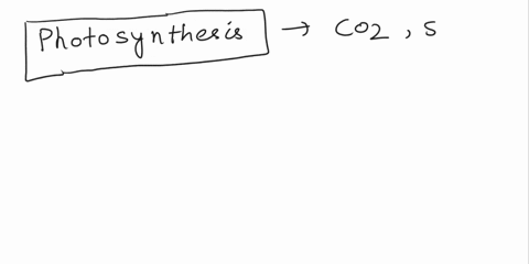 what-are-some-examples-of-life-sustaining-processes-employed-by-photoautotrophic-organisms-that-are-part-of-the-essential-functioning-of-various-ecosystems-what-and-why-makes-them-important-99487