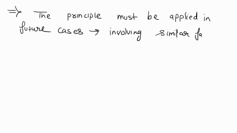 once-a-court-has-applied-a-principle-to-a-certain-set-of-facts-that-principle-must-be-applied-in-future-cases-involving-any-facts-different-facts-no-particular-facts-similar-facts-99535