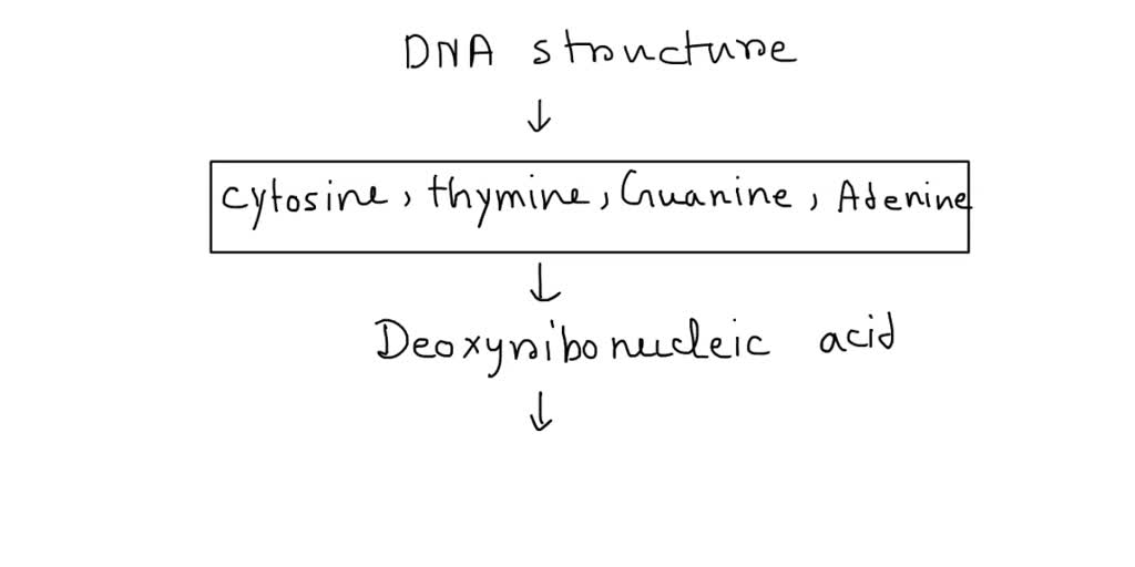 SOLVED: Examine the ladder structure of DNA below and answer the ...