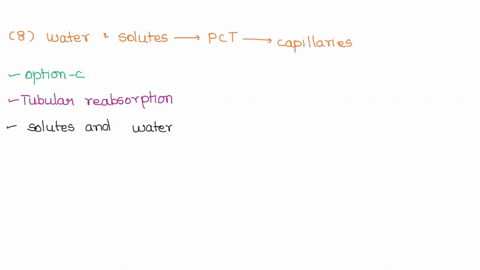 most-of-the-water-and-solutes-that-moved-down-into-the-proximal-tubule-are-returned-to-the-capillaries-filtration-tubular-secretion-tubular-reabsorption-adh-adjustment-metabolites-such-as-ur-15915