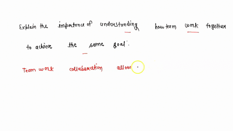 explain-the-importance-of-understanding-how-teams-work-together-to-achieve-the-same-goal-02938