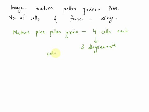 examine-the-following-image-of-mature-pollen-grain-of-how-many-cells-is-pine-pollen-eraln-composed-why-does-have-such-prominent-wings-examine-the-following-image-showing-longitudinal-section-46931