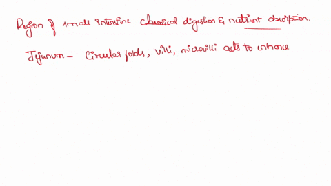 which-region-of-the-small-intestine-is-where-most-chemical-digestion-and-nutrient-absorption-occurs-jejunum-duodenum-cecum-ileum-38388