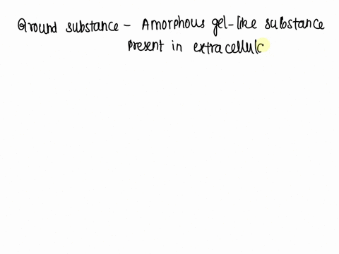 ground-substance-during-the-healing-phase-is-made-of-elastin-true-or-false-28115