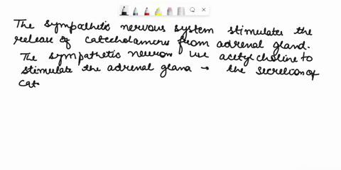 the-fight-or-flight-response-which-branch-of-the-autonomic-nervous-svstem-stimulates-release-of-catecholamines-from-the-adrenal-eland-what-neurotransmitter-is-used-by-the-neurons-of-this-bra-62598
