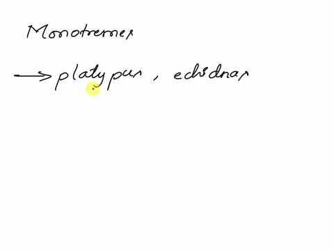 one-difference-between-monotremes-and-other-types-of-mammals-is-a-monotremes-are-viviparous-b-monotremes-do-not-secrete-milk-c-monotremes-secrete-milk-through-well-developed-nipples-d-monotr-18444