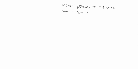 a-typical-action-potential-in-a-neuron-is-caused-by-which-one-of-the-following-processes-a-a-surge-in-the-activity-of-the-nak-pump-b-a-large-increase-in-the-intracellular-concentration-of-k-27626