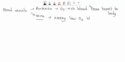 which-statement-is-true-about-blood-vessels-veins-have-thin-walls-and-valves-veins-have-thin-walls-and-lack-valves-veins-have-highly-elastic-walls-and-lack-valves-arteries-have-thin-walls-an-47944