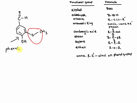alcohol-aldehyde-alkene-amide-aromatic-ring-carboxylic-acid-ester-ho-ether-ketone-the-name-of-the-circled-functional-group-is-chz-95738