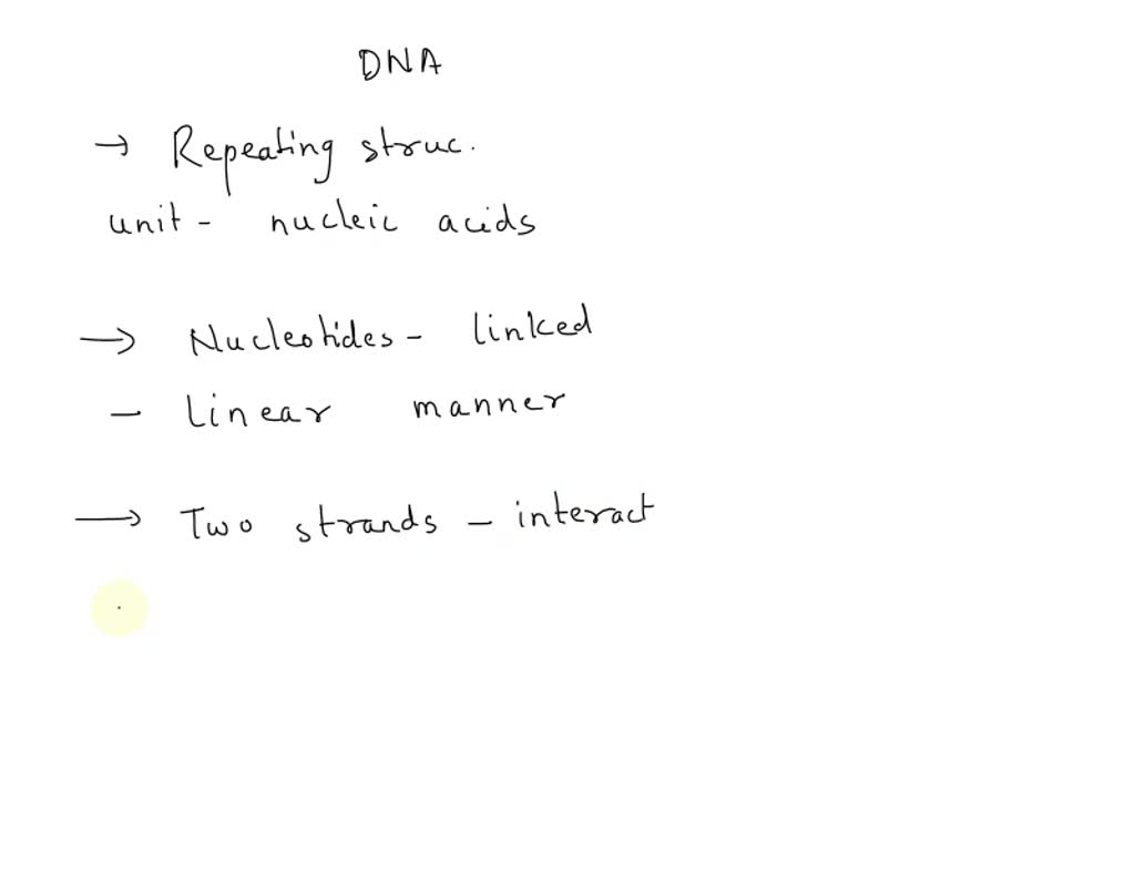 Sentence For Dna SOLVED: Seled the correct terms describe the four levels of complexity ...
