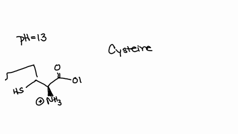 what-is-the-charge-of-the-amino-acid-cysteine-at-ph13-select-one-a-2-b-2-c-1-d1-0-10176