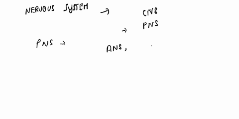 the-main-parts-of-the-peripheral-nervous-system-are-______-a-the-brain-and-spinal-cord-b-nerves-c-the-skull-and-backbone-d-all-of-the-above-78088