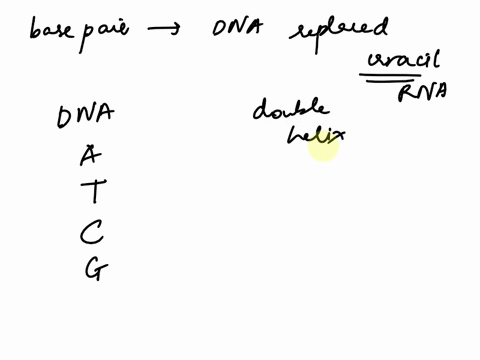 help-with-question-1-please-examine-the-4-nitrogenous-bases-found-in-dna-in-rna-uracil-replaces-one-of-the-nitrogenous-bases-above-question-1-which-base-pair-found-in-dna-is-replaced-uracil-84221