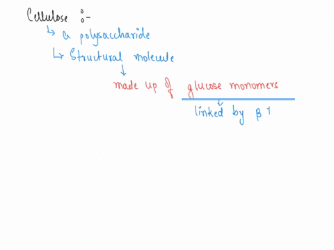 all-of-the-following-are-true-of-cellulose-except-select-one-a-it-is-a-structural-molecule-b-it-is-found-in-the-cell-walls-of-plants-plant-like-protists-and-fungi-c-it-is-a-polysaccharide-d-73449