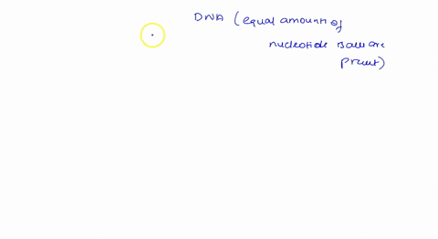 which-of-the-following-nucleotide-bases-are-present-in-equal-amounts-in-dna-a-adenine-and-cytosine-b-63998