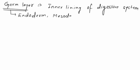 into-the-inner-lining-of-the-digestive-system-and-what-is-the-purpose-of-the-what-germ-layer-develops-inner-lining-of-the-digestive-system-ectoderm-movement-endoderm-protection-mesoderm-move-93311