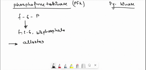 glycolysis-in-the-third-step-of-glycolysis-_-the-enzymne-phosphofructokinase-transfers-phosphate-group-from-atp-to-fructose-6-phophate-to-generate-fructose-bisphosphate-in-contrast-in-step-t-52915
