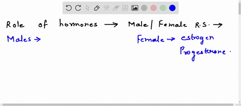 make-a-brochure-about-the-role-of-hormones-in-the-the-male-or-female-reproductive-system-84588