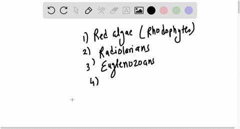 match-the-identifying-characteristic-with-the-appropriate-protist-group-phycoerythrins-choose-paramecium-ciliates-euglenozoans-oomycetes-red-algae-rhodophytes-parabasalids-brown-algae-radiol-98298
