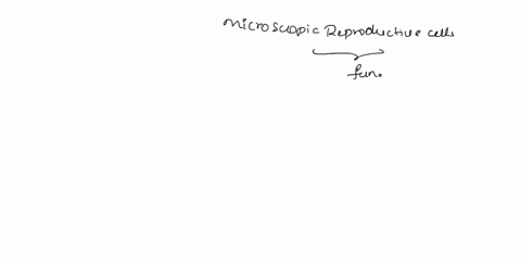 microscopic-reproductive-cells-produced-by-most-fungi-are-a-eggs-and-sperm-b-gills-c-hyphae-d-mycelia-e-spores-99878