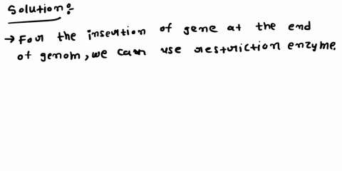 4-you-have-cloned-the-pepsi-gene-into-the-vector-pken-you-used-two-restriction-enzymes-bamhi-and-ecori-to-force-the-cloning-in-a-directional-way-the-plasmid-pken-is-5-kb-long-and-the-insert-78531