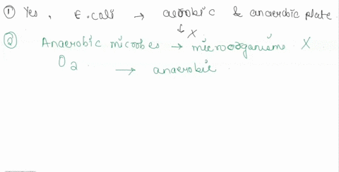 bacterium-na-plate-catalase-reaction-catalase-reaction-bubbles-alcaligenes-faecalis-escherichia-coli-aerobic-strong-aerobic-strong-lactococcus-lactis-aerobic-absent-escherichia-coli-anaerobi-42833
