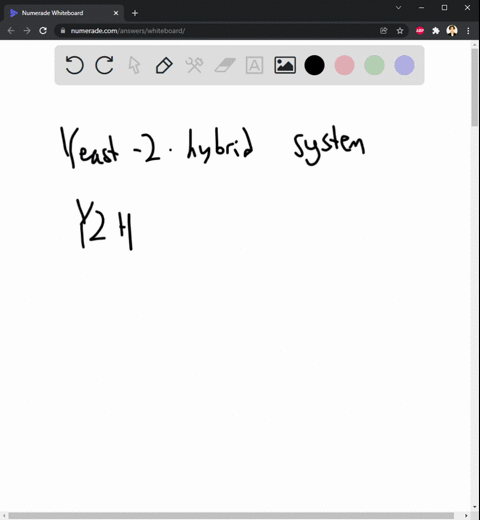 1you-wish-to-characterize-how-cells-respond-to-certain-stimuli-the-most-appropriate-technique-to-use-would-be-a-yeast-2-hybrid-system-b-differential-centrifugation-c-cell-culture-d-freeze-fr-28893