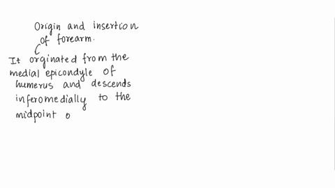 describe-the-origin-insertion-action-and-innervation-of-the-muscles-of-the-forearm-that-move-the-wrist-hand-and-digits-33569