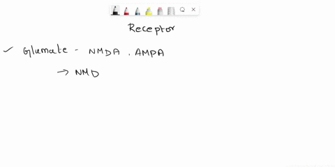 which-of-the-following-statements-is-true-regarding-nmda-andor-ampa-receptors-select-all-that-apply-glutamate-activates-both-nmda-and-ampa-receptors-nmda-and-ampa-receptors-never-co-exist-in-42176