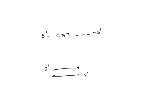 the-restriction-enzyme-banhi-recognizes-base-pair-palindromic-sequence-in-double-stranded-dna-the-first-three-bases-for-the-5-to-3-strand-are-given-complete-the-restriction-site-for-banhi-5-38078