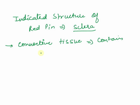 xc-question-10-5-pts-name-the-structure-above-indicated-by-the-red-pin-and-name-the-layer-of-the-eye-to-which-it-belongs-21069