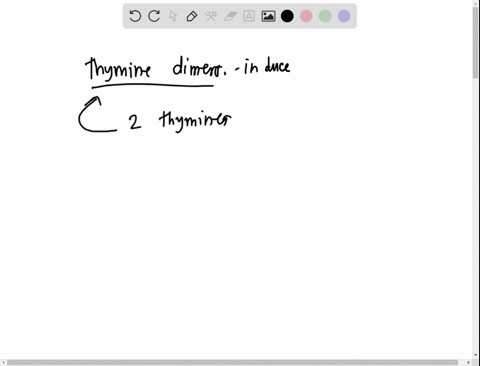 question-4-ultraviolet-light-damages-dna-by-causing-a-thymine-dimers-b-covalent-bonds-between-adjacent-thymine-nucleotides-of-a-nucleotide-chain-c-purine-rings-radioactivity-e-strand-breaks-33796