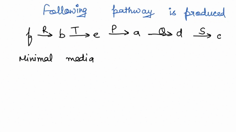 the-following-is-a-growth-table-for-a-set-of-fungal-strains-that-had-been-subjected-to-x-irradiation-chemical-compounds-in-a-relevant-biochemical-pathway-b-c-d-e-and-f-were-added-to-minimal-28873