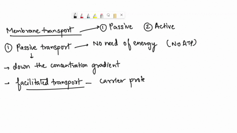draw-a-flow-chart-that-explores-the-concepts-of-passive-and-active-transport-explain-your-flowchart-give-examples-of-where-each-of-the-following-occur-in-the-body-or-specifically-in-cells-th-29068