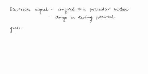 drefractory-period-ocaction-potential-obresting-potential-oagraded-potential-selectone-potential-may-not-break-threshold-43921