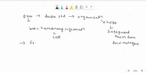 why-is-dna-double-stranded-and-not-single-strand-what-are-the-advantages-of-the-double-helix-01732